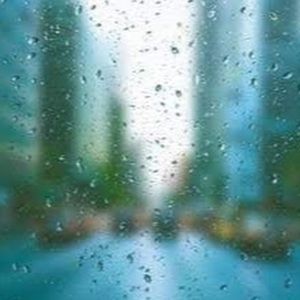 Meet your Posher, Lily